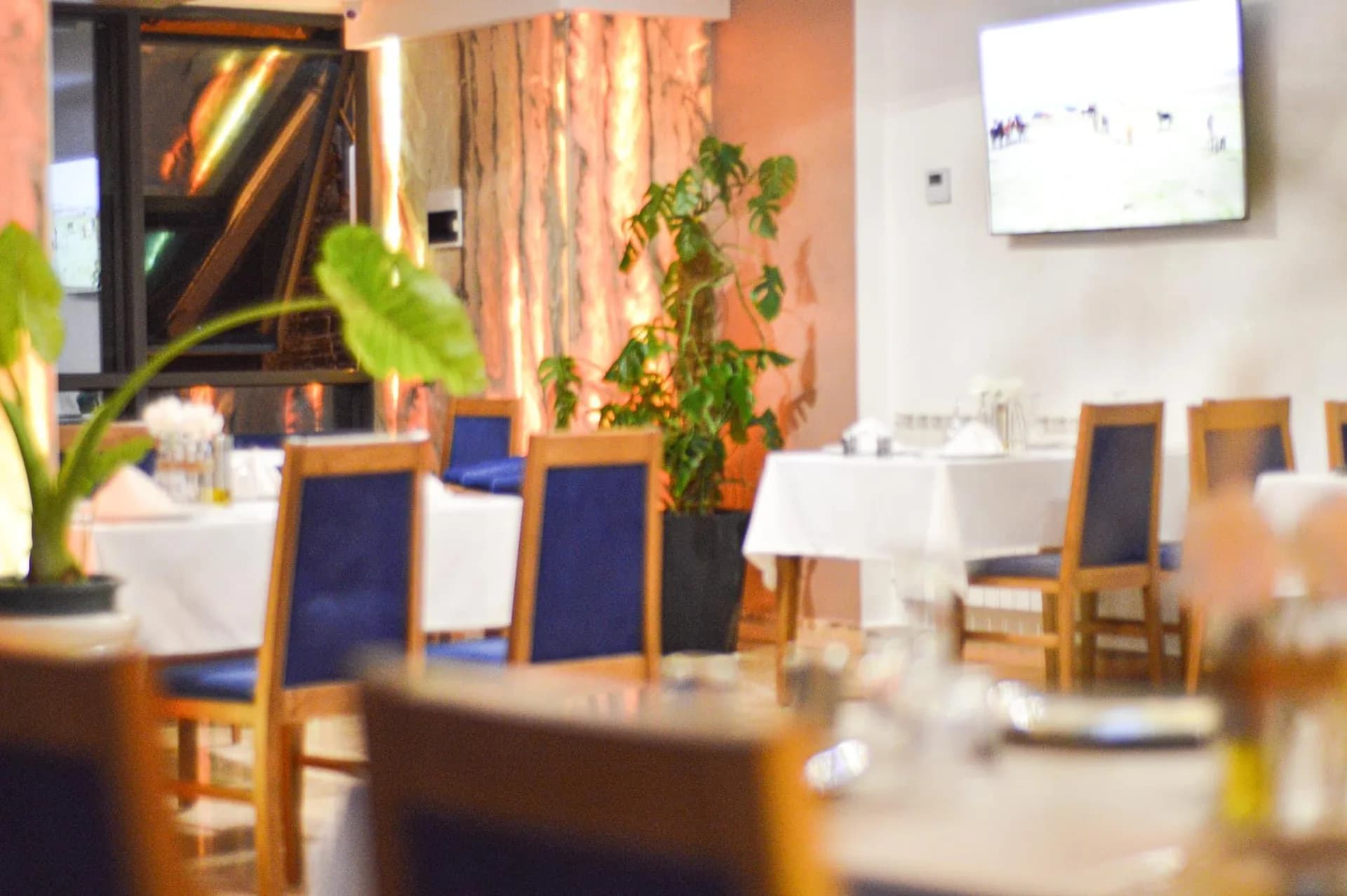 Hotel Mounira 12